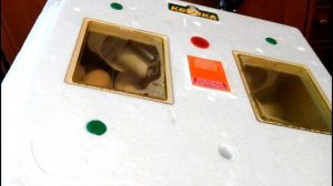 ТЕМПЕРАТУРНЫЙ РЕЖИМ ИНКУБАЦИИ КУРИНЫХ ЯИЦ. Мой опыт