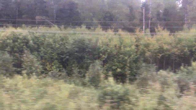 Пригородный поезд Иваново - Кинешма, перегон между 335 км и станцией Ермолино. смотреть онлайн