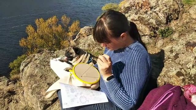 4. Вышиваю. Украли вышивку. AUTUMN QUAKERS от Rosewood Manor. смотреть онлайн