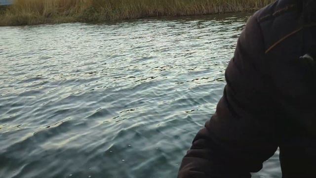 Cудак! Окунь! Щука! Золотая Осень! Рыбалка В Холодную Погоду!!! смотреть онлайн