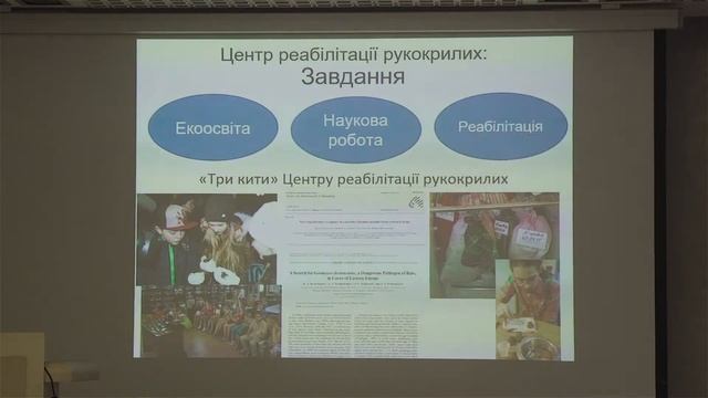 Как реабилитировать летучих мышей: пособие от Центра реабилитации рукокрылых смотреть онлайн