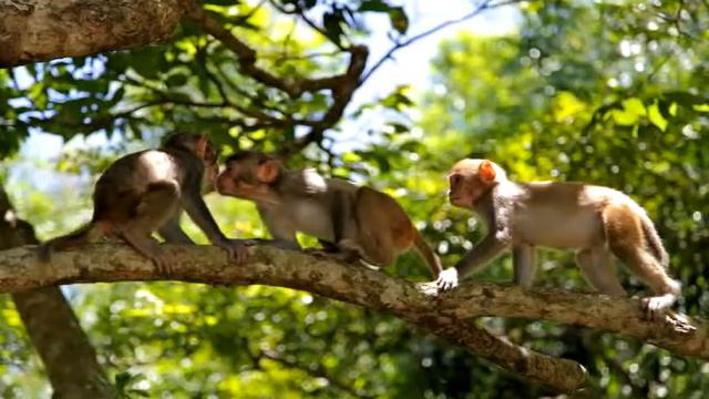 Хайнань, февраль-март 2014 смотреть онлайн