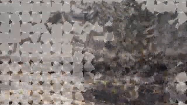 Дикая степь.wmv смотреть онлайн