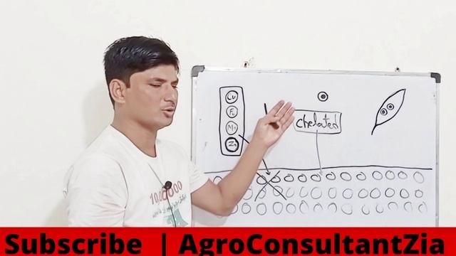 Micronutrients | Chelated Zinc spray | AgroConsultantZia. смотреть онлайн