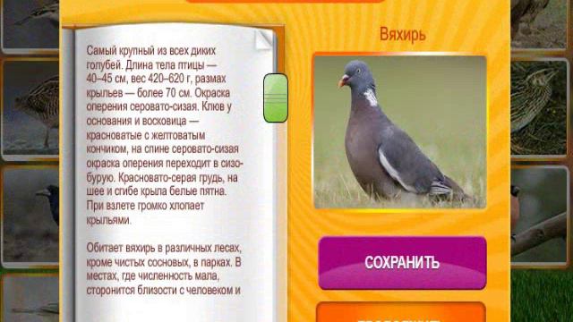В мире животных. Ответ на 26, 27, 28, 29, 30 уровне. смотреть онлайн
