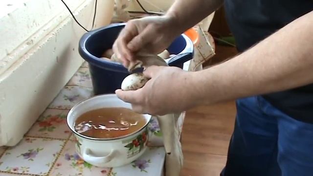 Можно ли мыть яйца перед закладкой в инкубатор? смотреть онлайн