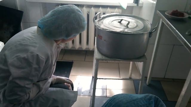 Как тараканы оккупировали кухню в детском саду №162 "Медвежонок" смотреть онлайн