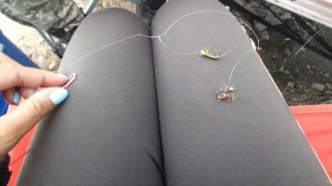 На что берет хариус в июне?! Открытие сезона. Река Томь