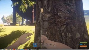NVIDIA GTX 745: Rust Gameplay