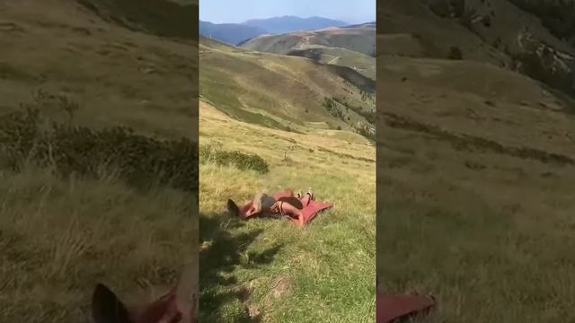 все пошло не по плану))) смотреть онлайн