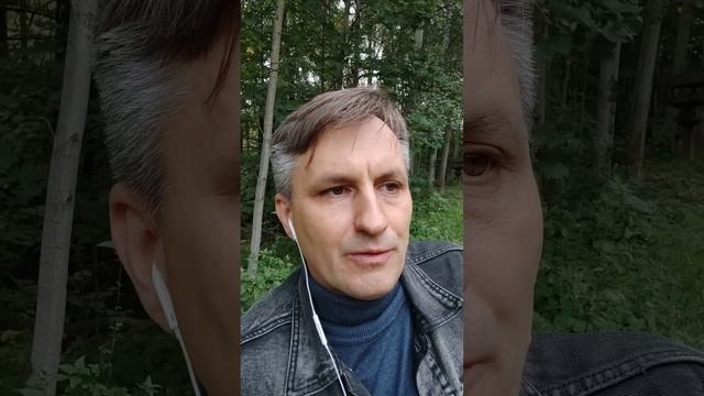 Почему кошке не нужен влажный корм смотреть онлайн