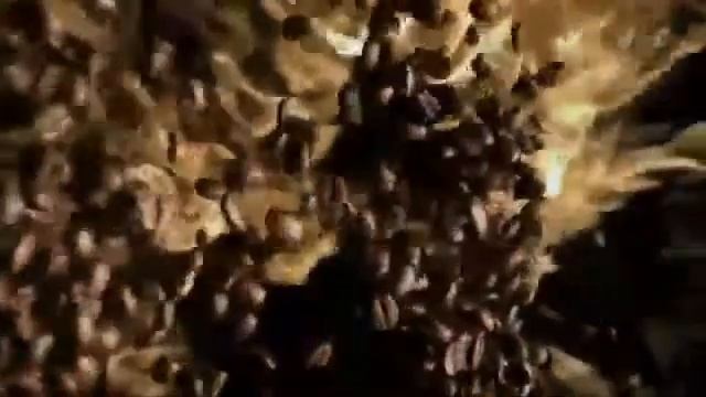 Правильная Реклама #1 | RYTP смотреть онлайн