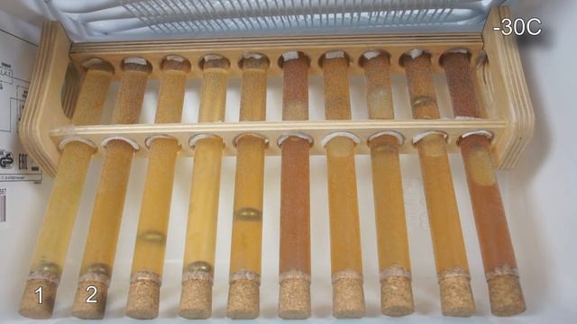 Test Zimna -30°C 5W20, 0W30, 5W30, 0W40, 5W40, 10W40, 15W40, 5W50, 10W60, 20W50