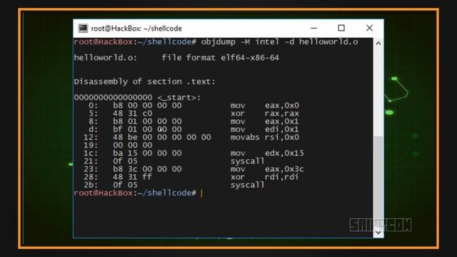SAINTCON 2018 - Lance Buttars - Introduction to Shellcode смотреть онлайн