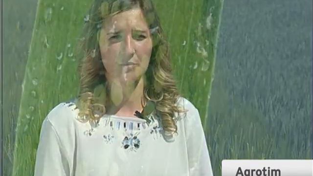 Suzbijanje Bolesti I štetočina U Pšenici