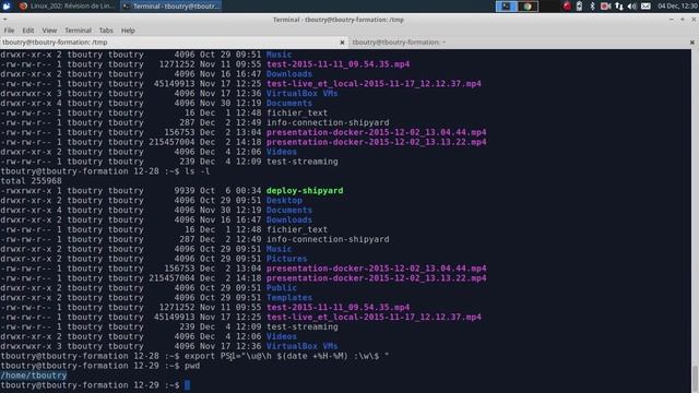 Linux 202 ( Révision 2 - Structure des répertoires , commandes de bases ) смотреть онлайн