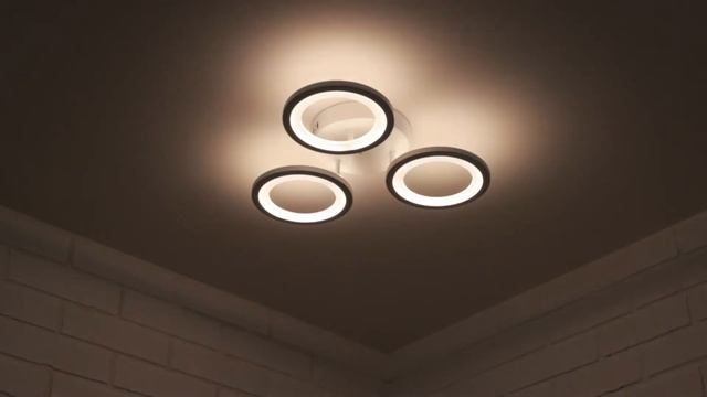 Потолочный светодиодный светильник Olmo 21300-3, Schaffner смотреть онлайн