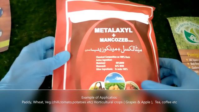 Metalaxyl 8% +Mancozeb 64% WP / Systemic And Contact Fungicides