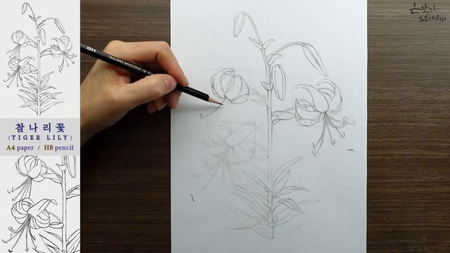Flower Drawing Tiger lily | 참나리꽃 그리기 | 꽃그림 배우기 78-1 смотреть онлайн