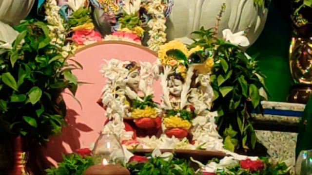 Damoda Harathi live 5 Nov 2023 @ISKCON PRODDATUR смотреть онлайн