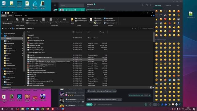 Создание бота в BotFather настройка его и получение CHAT.ID