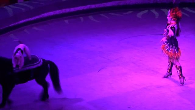 Глазами животных, выпуск 265 (Цирковые артисты и их секрет счастливой жизни в цирковом путешествии)