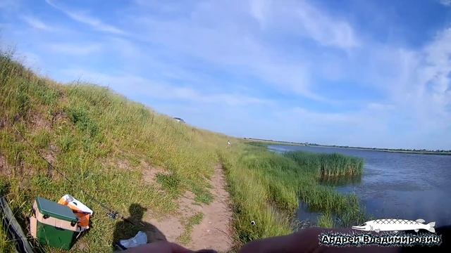 Ловля карася, Селянское озеро, Солотча, Рязанская область смотреть онлайн