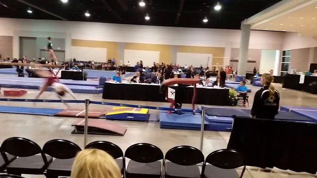 Alyssa Gardner, level 10 region 6 vault champion смотреть онлайн