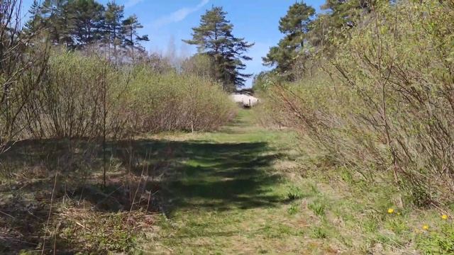 8.Клогаранна. Посвящение в гимназисты. смотреть онлайн