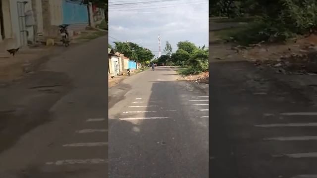 Как доехать до рынка Муйне от отеля The Sailing Bay Resort Muine, Вьетнам смотреть онлайн