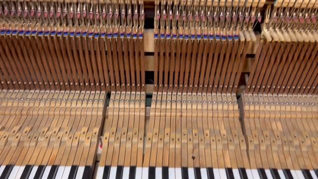 Шедевр фортепианостроения. Klavier Schwechten , 129 yo смотреть онлайн