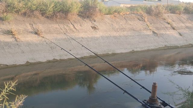 Baliq Ovi Bugun Ov Zoʻr Boʻldi