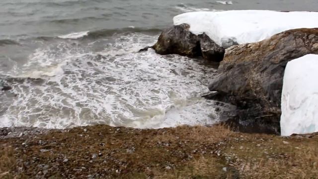 Верблюжий холм в Беринговом проливе часть 1 смотреть онлайн