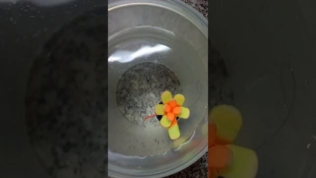 Раскрывающийся поплавок "Цветок" на зимнюю удочку с десятью лепестками. смотреть онлайн