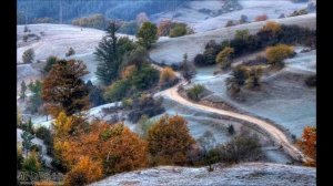 Шуберт Мюллер Спокойно спи Сергей Шапошников