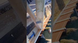 разрыв соединения укрепленного гвоздевым пластинами