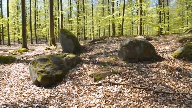 Horserød Hegn Langdysse 3 смотреть онлайн