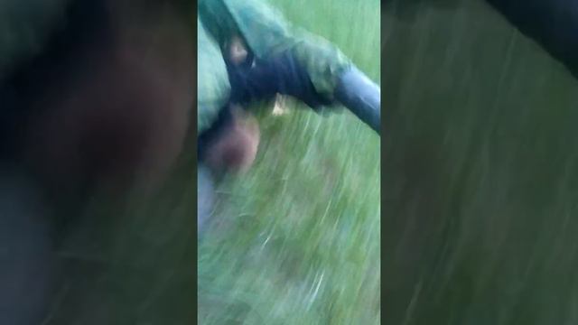 Укрощение страптивого смотреть онлайн