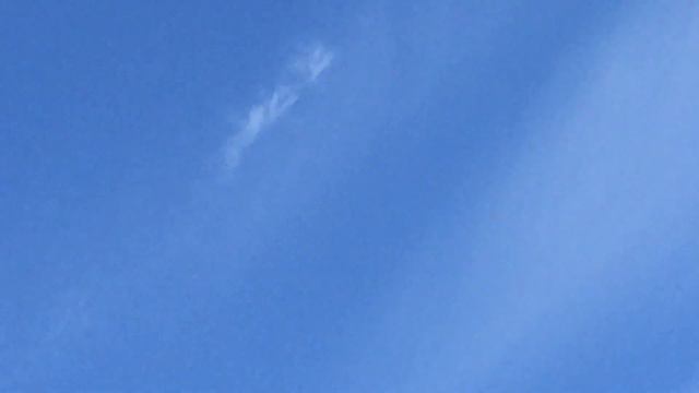 #Pigeon.Еще раз показываю как голуби уходят в точку. смотреть онлайн
