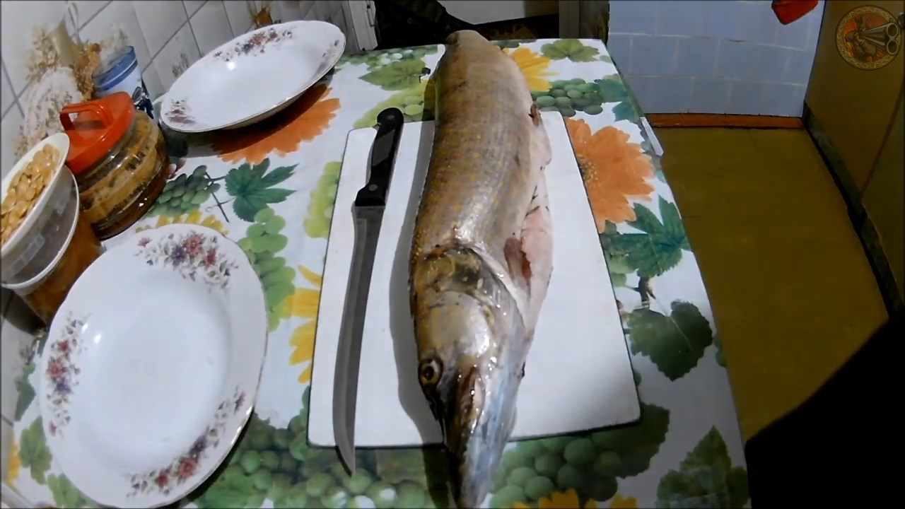 Щука без костей. Как снять филе для котлет (Будни охотника и рыбака) смотреть онлайн