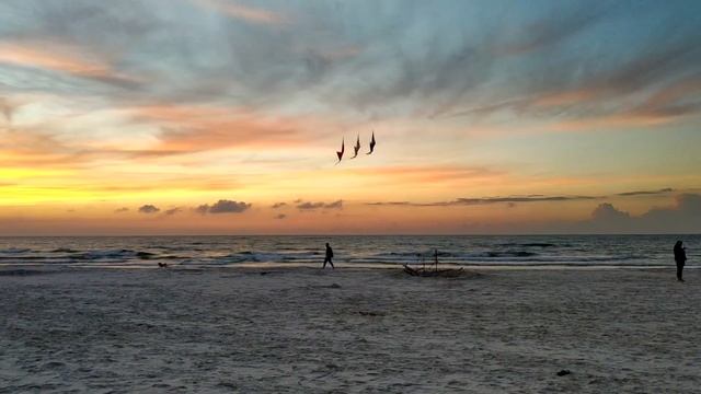 What Tricks are possible with Stack Stunt Kites? смотреть онлайн