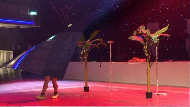 Limbo Show Und Limbo Tanz Gepaart Mit Temperamentvoller Artistik