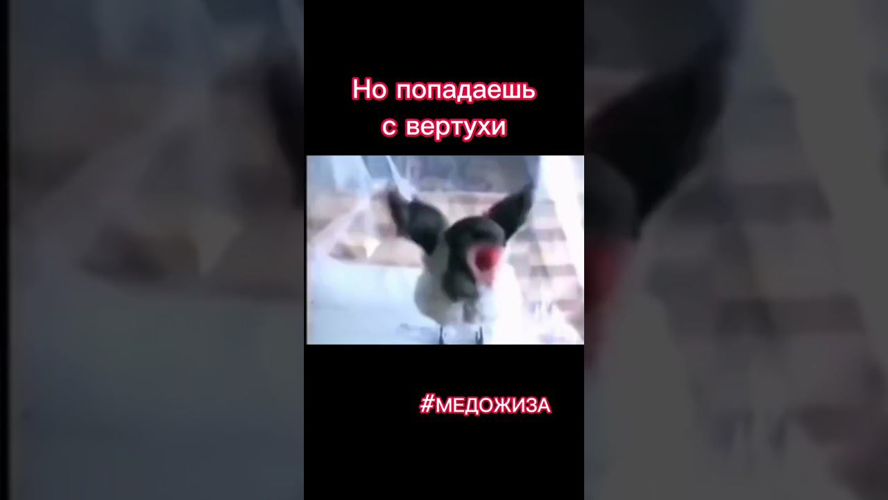 #медожиза про СВЕДЕНИЕ смотреть онлайн