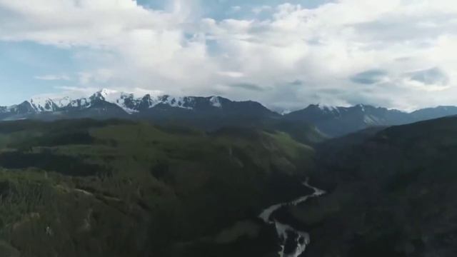 ПОЧЕМУ НАДО НАЧАТЬ ИГРАТЬ В ШАХМАТЫ ПРЯМО СЕЙЧАС ? смотреть онлайн