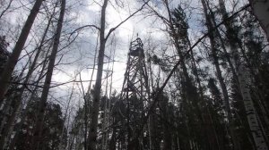 Геодезическая вышка в тайге. Зачем ее строили?