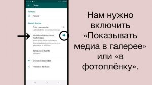 Как устранить размытость фотографий WhatsApp