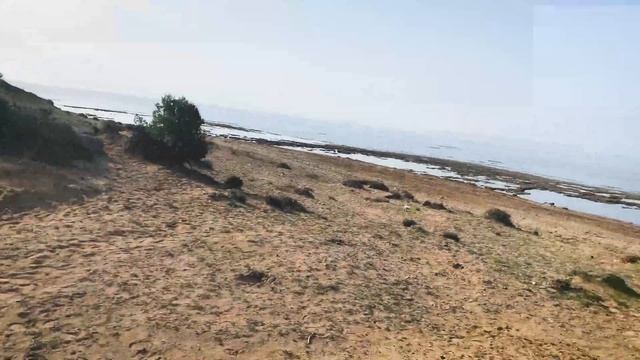 Vanlife бытовуха на берегу Средиземного моря #vanlife #автодом #автодомсвоимируками