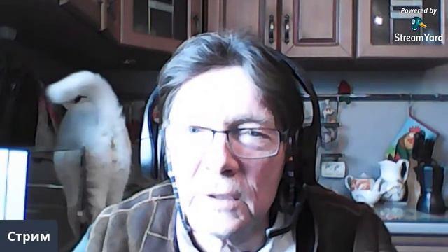 Каким должен и не должен быть адвокат? Практические советы смотреть онлайн