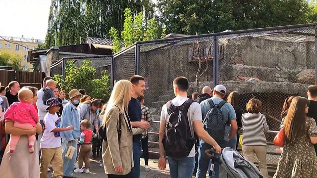 Москва. Московский зоопарк смотреть онлайн