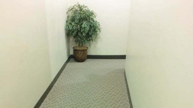 Forbo Flotex Sheet Installation Video